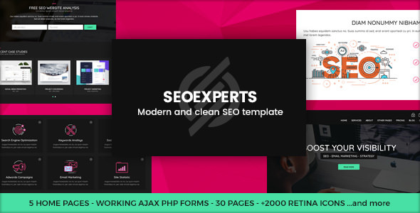 SEOEXPERTS - SEO, SEM, Social Media Marketing Template