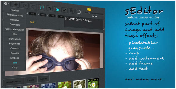 Download sEditor – online image editor | Free Nulled Scripts