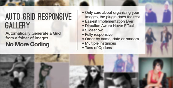 Auto Grid Responsive Gallery