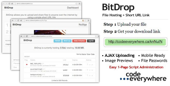 Download BitDrop – File Hosting with Short URL Link | Free Nulled Scripts