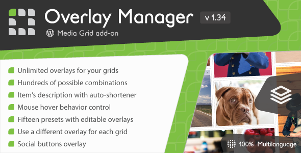 Download Media Grid – Overlay Manager add-on v1.34 | Free Nulled Scripts