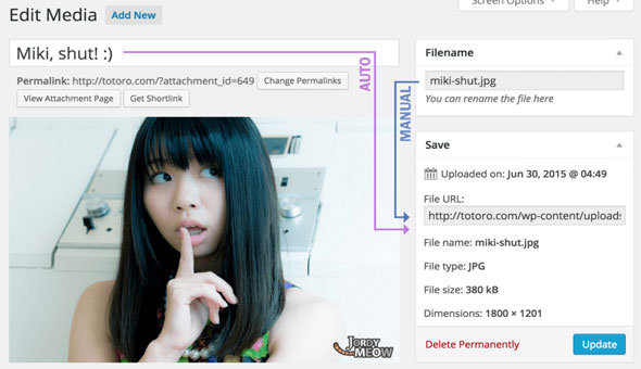 Media File Renamer Pro v5.4.0