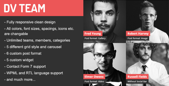DV Team v2.2 - Responsive Team Showcase WordPress Plugin