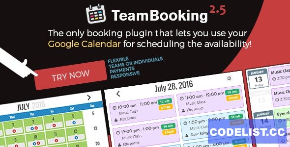 Team Booking v2.5.11 - WordPress booking system
