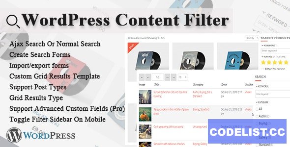 WordPress Content Filter v2.7.5
