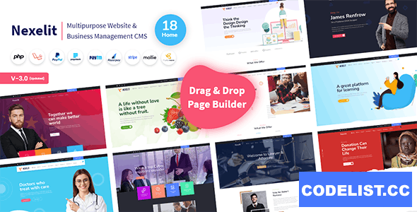 Nexelit v3.0.1 - Multipurpose Website & Business Management System CMS - nulled