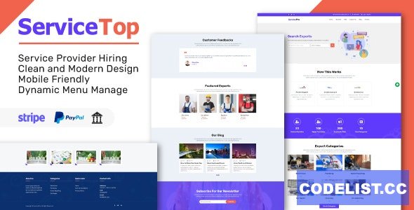 ServiceTop v1.1 - Professional Service Selling Marketplace