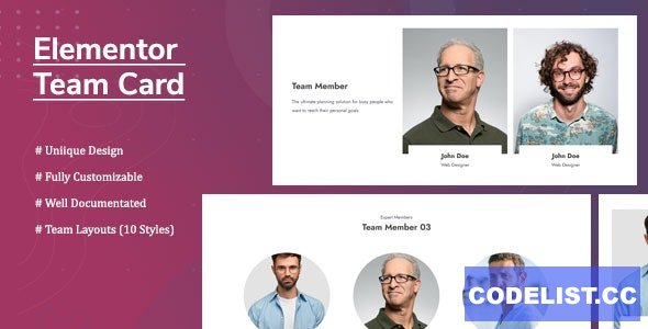 Elementor Team Card v1.0