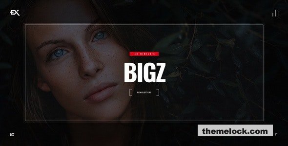 Bigz - Under Construction Template