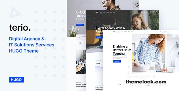 Terio - Digital Agency Hugo Theme