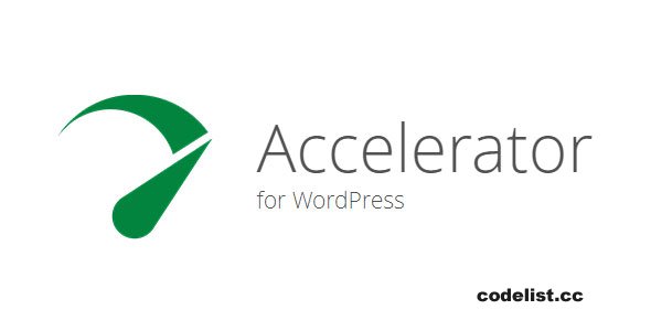 Seraphinite Accelerator Extended v2.21.11