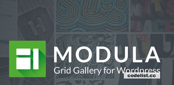 Modula Pro v2.8.7 + Addons