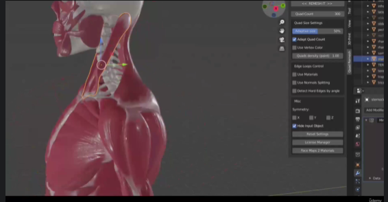 Download Udemy 3D Anatomy: Sculpting in Blender Course