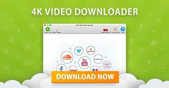 Download 4K Video Downloader Plus 26.0.8 (x64) Multilingual Portable