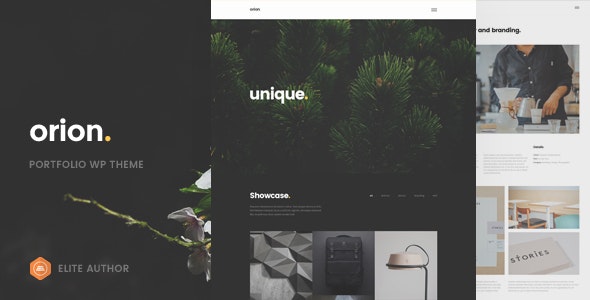 Orion v1.0 - Minimal Portfolio WordPress Theme