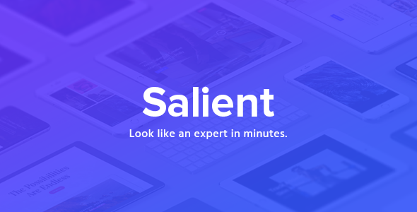 Salient v10.0.1 - Responsive Multi-Purpose Theme