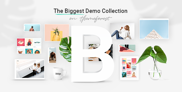 Bridge v16.9 - Creative Multi-Purpose WordPress Theme