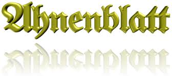 Download Windows Movie Maker 2022 9.9.5.0 incl patch