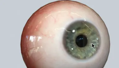 Download FlippedNormals – Eyeball Game Ready 3D Model 2026