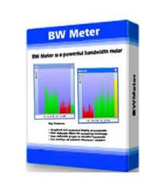 Download BWMeter 7.7.1 + patch