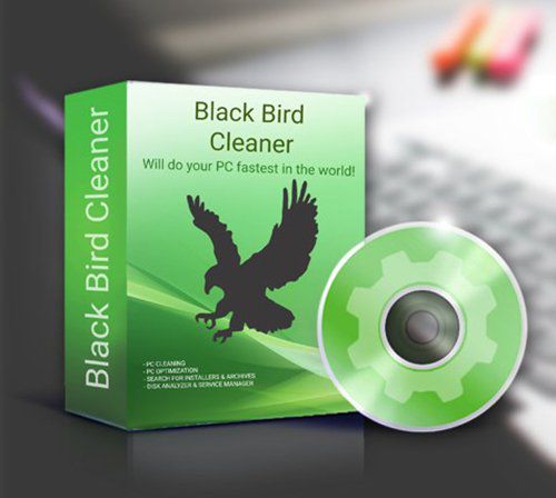 Download Black Bird Registry Cleaner Pro 1.0.0.8 + Activator