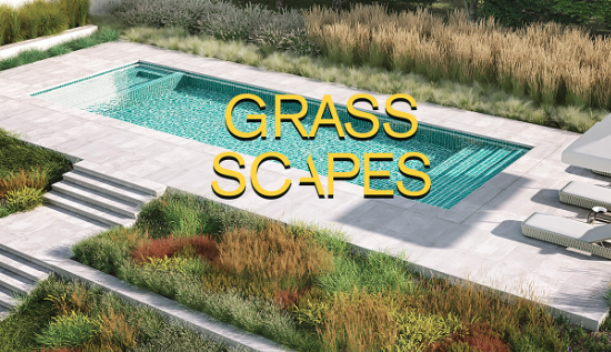 Download Blender 2.8+ & 4 – Grass Scapes + Scatter Addon Crack 2024