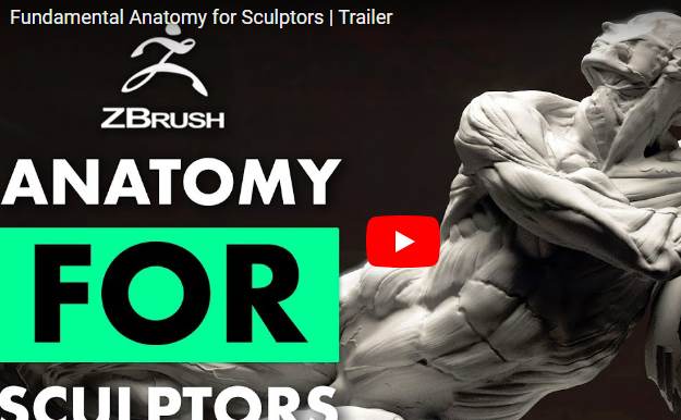 Download FlippedNormals – Fundamental Anatomy for Sculptors Course 2023