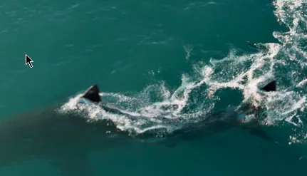 Download Gnomon Workshop Introduction to Houdini Fluids Full Course Crack