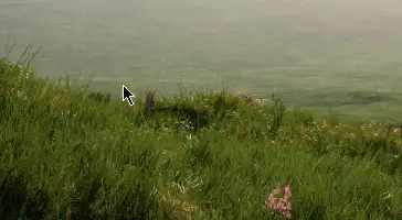 Download LUZ Studio ALPINE MEADOW Environments Unreal Engine Crack