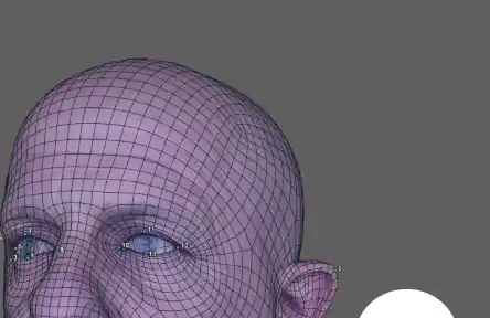 Download VFXM Faceform Wrap 2025.11.14 Trial Reset