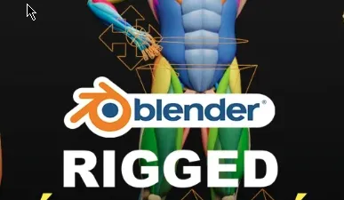 Download Blender Muscle Anatomy – Ecorche Rigged