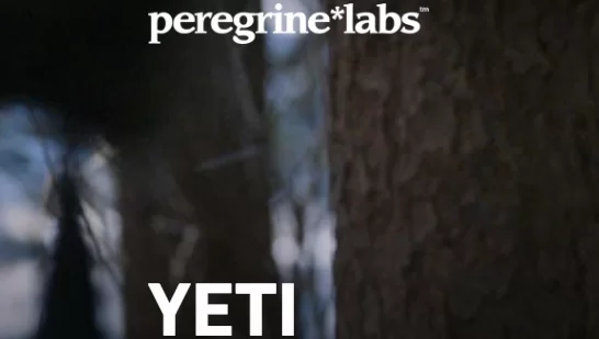 Download Peregrine Labs Yeti v5.2.6 Crack December 2025