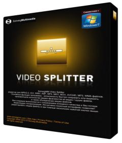 Download SolveigMM Video Splitter Business Edition 6.1.1707.19 + Portable + serial