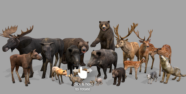 Download Unity Package Forest Animals Pack Crack