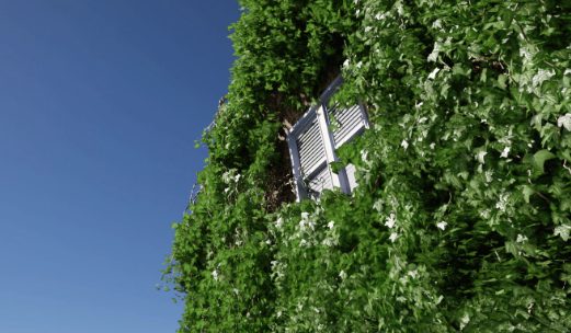 Download Unreal Engine 5.2 – Crazy Ivy Generator v1 Plugin Crack 2023