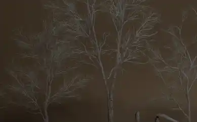 Download Unreal Engine 5.3+ Foliage VOL.26 Dead Birch Trees Low Poly