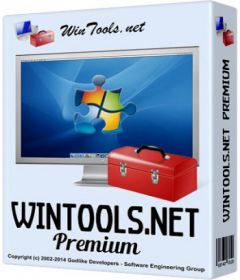 Download WinTools net Professional + Premium v17.9.1 + key