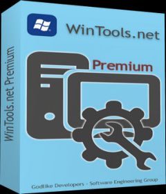 Download WinTools net Professional & Premium v19.0 + keygen