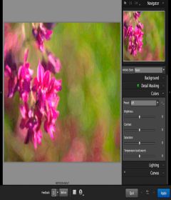 AlienSkin Snap Art 4.1.2.195 + patch