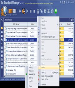Ant Download Manager Pro 1.10.0 + patch