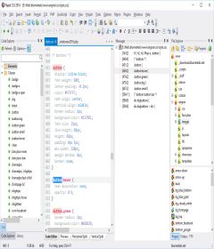 Blumentals Rapid CSS 2018 v15.5.0.207 + keygen