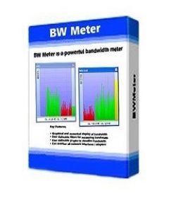 BWMeter 8.3 + patch