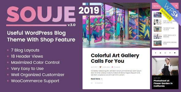 Souje v4.1 - Personal WordPress Blog Theme