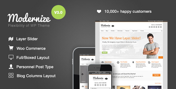 Modernize v3.3.0 - Flexibility of Wordpress