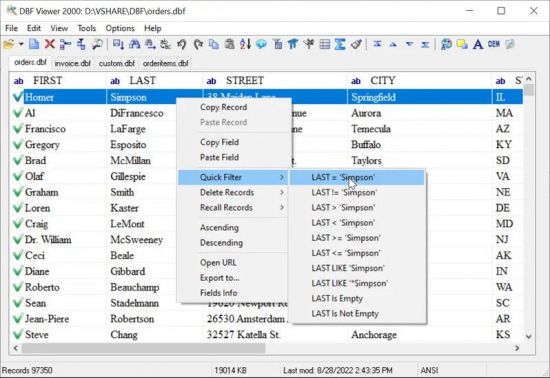 Download DBF Viewer 8.99 Portable