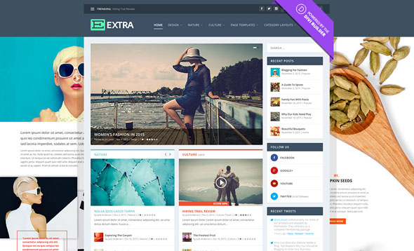 Extra v2.18.1 - Elegantthemes Premium Wordpress Theme
