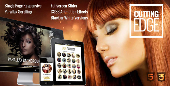 Cutting Edge v3.1 - Responsive Parallax WordPress Theme