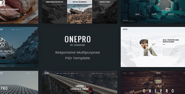 Download OnePro v1.0 – Creative Multipurpose PSD Template | Free Nulled Scripts
