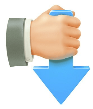 Download Download Master 7.3