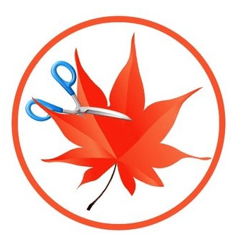 Download Easy Cut Studio 6.018 (x64) Multilingual Portable